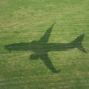 Avatar użytkownika