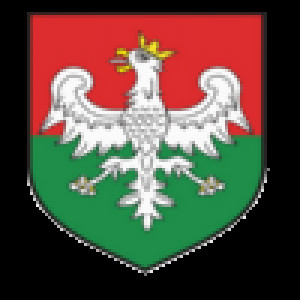 Avatar użytkownika