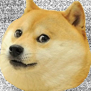 Avatar użytkownika
